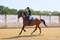 Sunshine and Success at the UNIBED Academy Championships 